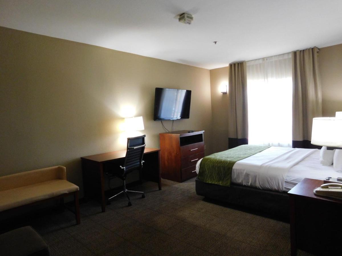Comfort Inn & Suites Sacramento - University Area المظهر الخارجي الصورة